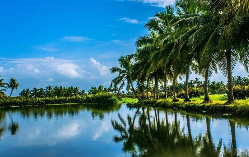 Sea Breeze Beach Home Alappuzha Exteriér fotografie